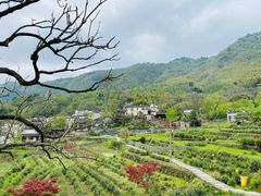 -塔川景区