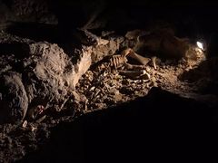 -怀托摩萤火虫洞