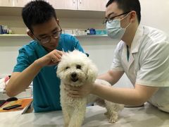 -贝利宠物医院·骨科·眼科·肿瘤转诊中心(南坪诊疗中心)