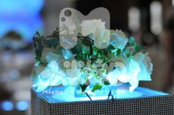 -M'S BANQUET AND SPACE ART