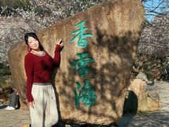 -香雪海