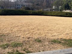 -临安城遗址(太庙遗址)