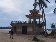 -东郊椰林
