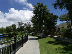 -上海长兴岛郊野公园