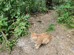 -终南山南五台景区