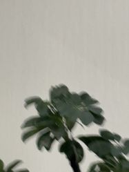 -上海伊莱美医疗美容医院