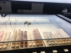 -BLACKSWAN黑天鹅(环球店)