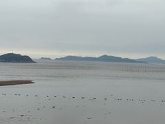 -北岐滩涂