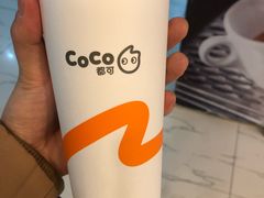 -CoCo都可(文星广场店)