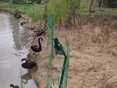 -琅岐红光湖公园