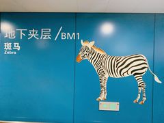 -虹桥综合交通枢纽-P6停车库