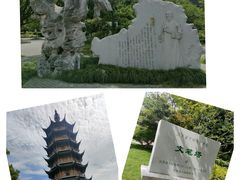 -红梅公园