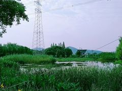 -长田漾湿地公园