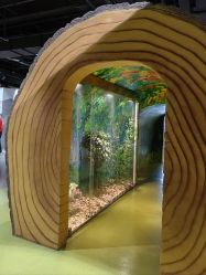 -北京科学中心儿童乐园