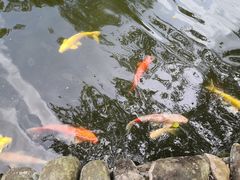 -海南文笔峰盘古文化旅游区