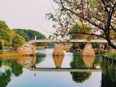 -尚湖风景区