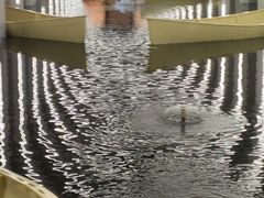 -涨巢·潮玩水疗局