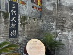 -大槐树寻根祭祖园