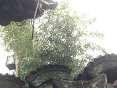 -灶头屋里