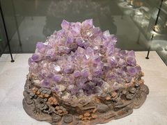 -长江文明馆