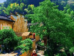-杨家堂村