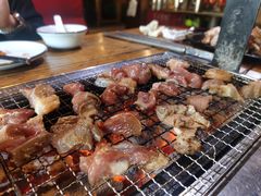 -柿子树炭烤羊腿(金台路店)