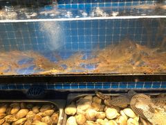 -苏格里岛自助海鲜烤肉火锅(集美万达店)