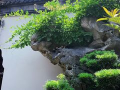 -檀园