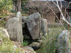 -杭州植物园
