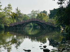 -桂湖森林公园