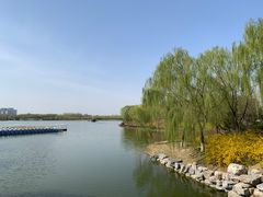 -大兴滨河森林公园