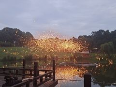 -大塘金香草谷