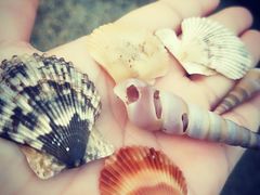 -黄金海岸环岛路