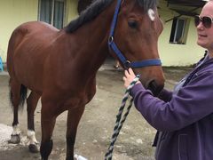 -重庆和泰马术俱乐部