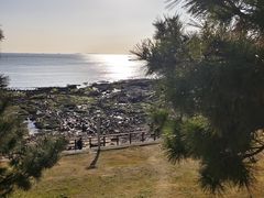 -青岛海景花园大酒店·白果树餐厅青岛菜