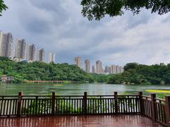 -重庆彩云湖湿地公园