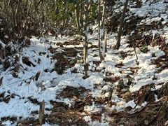 -敬亭山风景名胜区