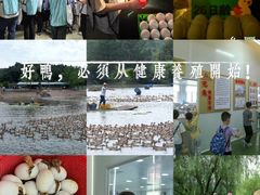 -郴州特产舜华临武鸭(郴州西站店)