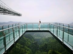 -梦幻奥陶纪景区