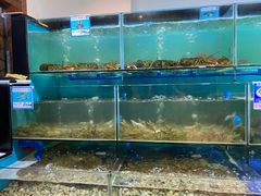 水产区-南海渔家•海鲜•正宗海南菜(海棠湾店)