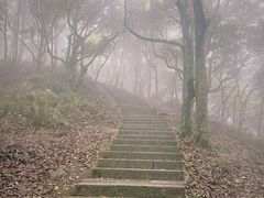 -梧桐山风景名胜区