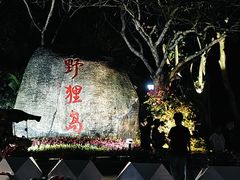 -野狸岛