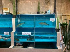 -美庐时尚餐厅(菱角湖店)