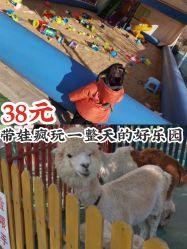 -萌宠亲子动物乐园(槐房万达店)