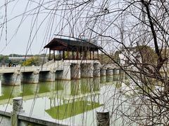 -八大山人梅湖景区