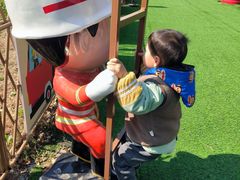 -苏州太湖西山岛开心农场