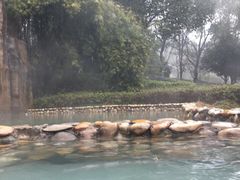 -山湖温泉