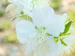 -北京安贞环宇荟