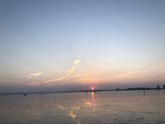 -南汇新城海滩
