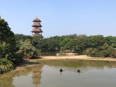 -东莞香市动物园